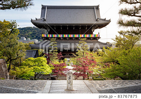 金戒光明寺の春、境内と山門 83767875