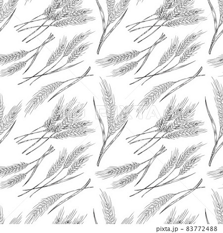 Seamless pattern design with wheat plants, hand drawn vector illustration. Seamless pattern design with wheat plants, hand drawn vector illustration. 83772488