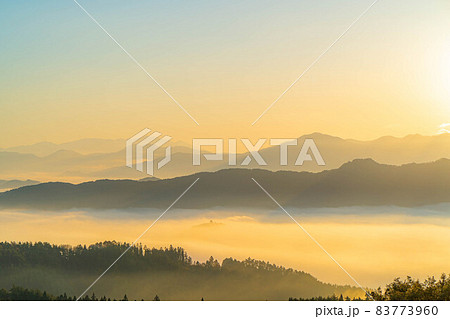 秋の大峰高原の日の出と七色大カエデの紅葉 【長野県】 秋の大峰高原の日の出と七色大カエデの紅葉 【長野県】 83773960