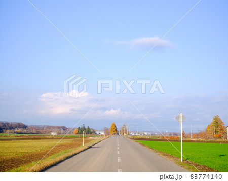 青空と直線道路 83774140