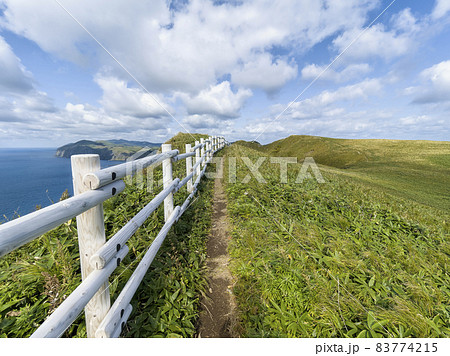 北海道礼文島 桃岩展望台コース / Rebun Island, Hokkaido, Japan 北海道礼文島 桃岩展望台コース / Rebun Island, Hokkaido, Japan 83774215