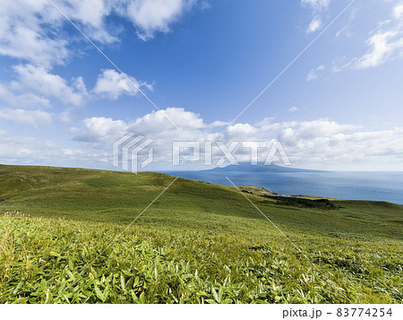 北海道礼文島 桃岩展望台コース / Rebun Island, Hokkaido, Japan 北海道礼文島 桃岩展望台コース / Rebun Island, Hokkaido, Japan 83774254