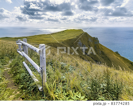 北海道礼文島 元地灯台付近の景観 / Rebun Island, Hokkaido, Japan 83774285