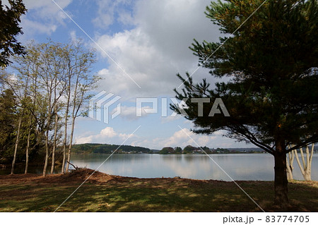 秋の景色 秋の湖畔 小泉潟公園 男潟 秋の景色 秋の湖畔 小泉潟公園 男潟 83774705