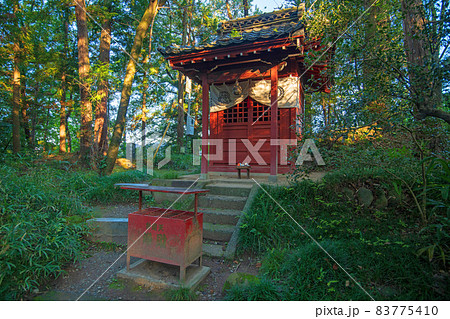 妻沼聖天山 歓喜院 境内 弁天社 秋の季節 妻沼聖天山 歓喜院 境内 弁天社 秋の季節 83775410