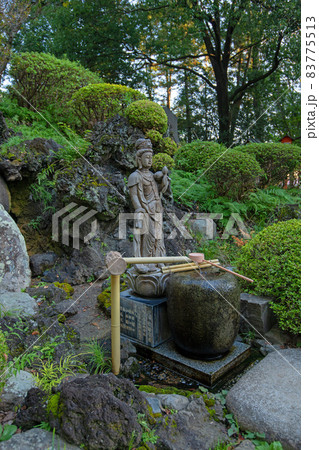 妻沼聖天山　歓喜院　境内　秋の季節 83775513