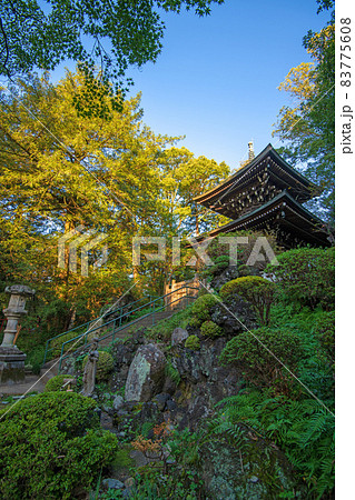 妻沼聖天山 歓喜院 境内 平和の塔 秋の季節 妻沼聖天山 歓喜院 境内 平和の塔 秋の季節 83775608