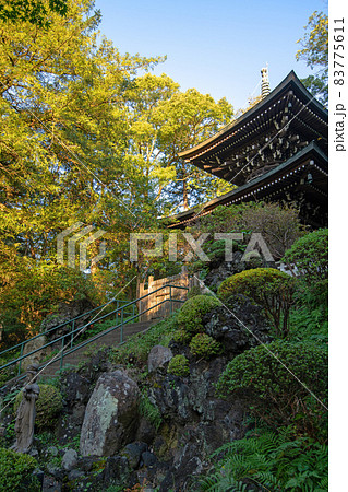 妻沼聖天山　歓喜院　境内　平和の塔　秋の季節 83775611