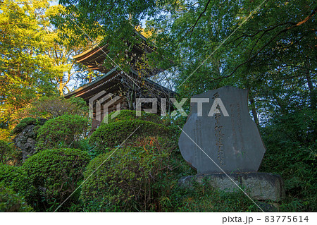 妻沼聖天山　歓喜院　境内　平和の塔　秋の季節 83775614