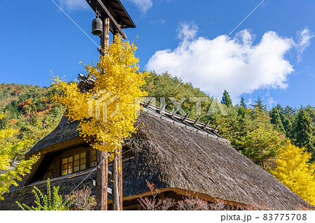 茅葺民家の紅葉と青空《撮影協力:西湖いやしの里根場様》 茅葺民家の紅葉と青空《撮影協力:西湖いやしの里根場様》 83775708