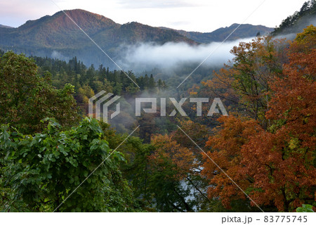 山里の秋 83775745