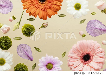 top view spring gerbera flowers with daisies leaves. High quality beautiful photo concept top view spring gerbera flowers with daisies leaves. High quality beautiful photo concept 83776179