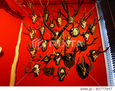 神戸 異人館めぐり ベンの家 83777947