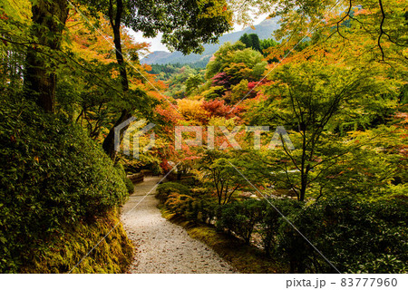 英彦山大権現もみじ庵参道、秋の風景 83777960