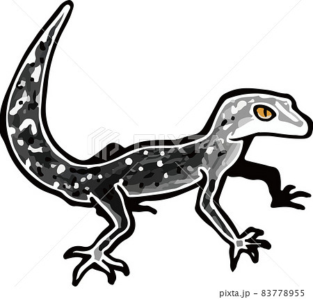 Black Claw Lizard Stock Illustration 7755