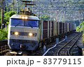 新疋田駅を通過する貨物列車 83779115