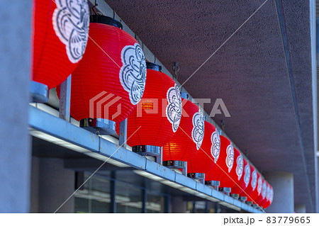 国立劇場（日本の伝統芸能を上演）National Theatre of Japan 83779665