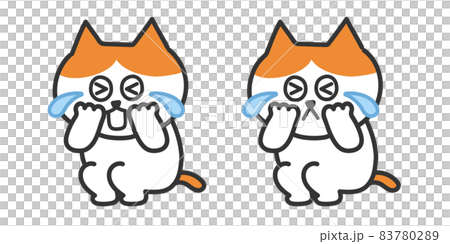 Illustration of a crying cat 83780289
