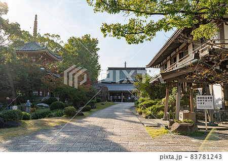 【第6番札所】安楽寺 境内【四国八十八箇所】 【第6番札所】安楽寺 境内【四国八十八箇所】 83781243