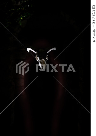 The cow's skull hovers in the dark, followed by a silhouette. The concept of fear scary tracking. Front view. 83781585