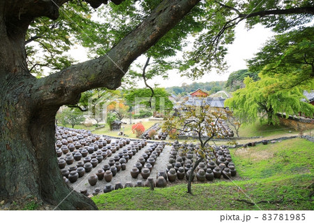 スポット 建物 風景 83781985