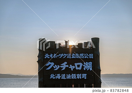 クッチャロ湖畔の黒柴 北海道 クッチャロ湖畔の黒柴 北海道 83782848