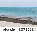 軽石が漂着した与論島の海岸 83782988