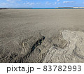 茶花海岸に押し寄せた軽石 83782993