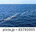 海上を漂う軽石の帯 83783005