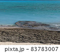 与論島の海岸を漂う軽石 83783007