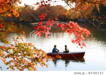 秋の風景 83783152