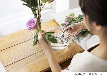 花瓶に活ける花を水切りする女性の手元 花瓶に活ける花を水切りする女性の手元 83783378