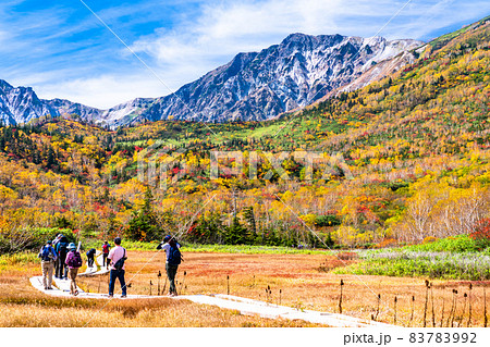 《長野県》紅葉狩りのトレッキング・秋の栂池自然園 83783992