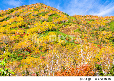 《長野県》紅葉狩りのトレッキング・秋の栂池自然園 83784040