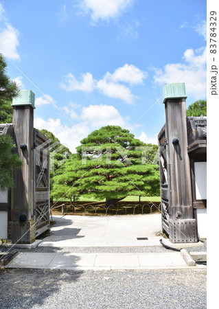 夏の京都　二条城の風景　　 83784329