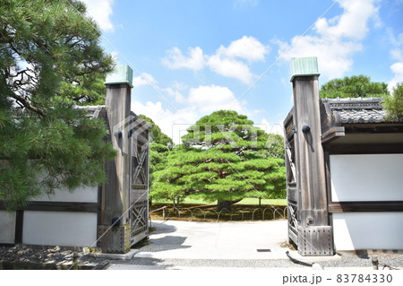 夏の京都　二条城の風景　　 83784330