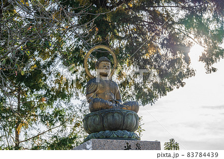 【第7番札所】十楽寺　本尊写し仏【四国八十八箇所】 83784439