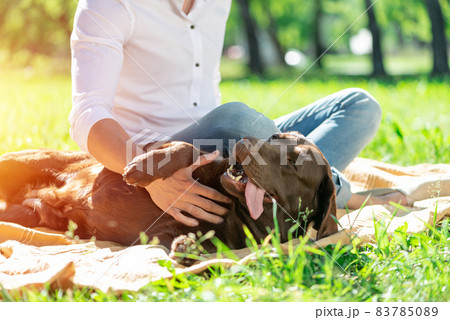 Dog with owner in the park Dog with owner in the park 83785089