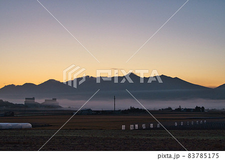 富良野の朝 富良野の朝 83785175