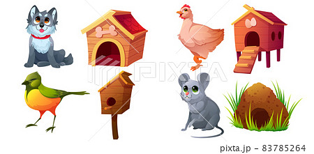 Animals and habitats, dog, bird, chicken, mouse Animals and habitats, dog, bird, chicken, mouse 83785264