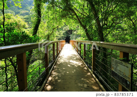 国頭村やんばるの森　比地大滝つり橋 83785371