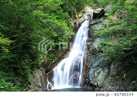 世界自然遺産　比地大滝 83786354