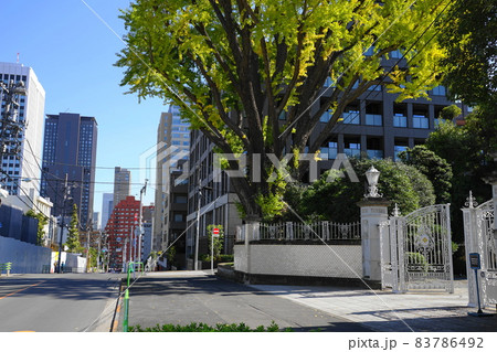 11月　港区1459綱の手引き坂とイチョウ(綱町三井倶楽部)･三田二丁目 83786492