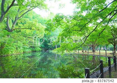 円山公園　北海道札幌市 83787542