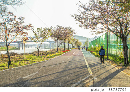 中浪川 用比較 河川 83787795