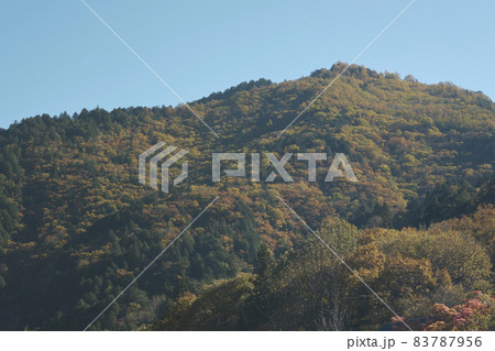 秋の紅葉した高瀬渓谷 秋の紅葉した高瀬渓谷 83787956