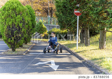 金川の森の乗りもの広場でサイクルカートに乗る6歳の女の子 83788056