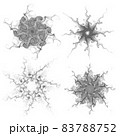 Set of four black snowflakes on a white background. Abstract computer generated fractal image of a snowflake. Illustration, isolate. 83788752