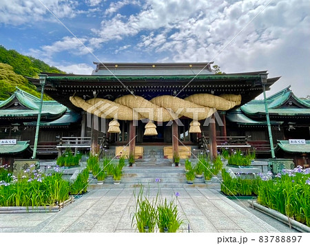 宮地嶽神社・花菖蒲と日本一の大注連縄(福津市/福岡) 宮地嶽神社・花菖蒲と日本一の大注連縄(福津市/福岡) 83788897