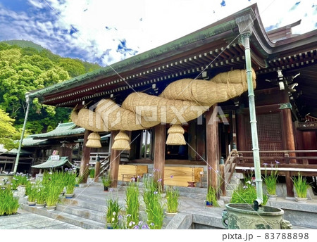 宮地嶽神社・花菖蒲と日本一の大注連縄（福津市/福岡) 83788898